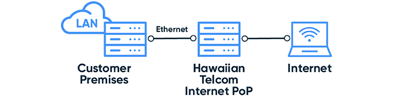 Dedicated Internet Graphic