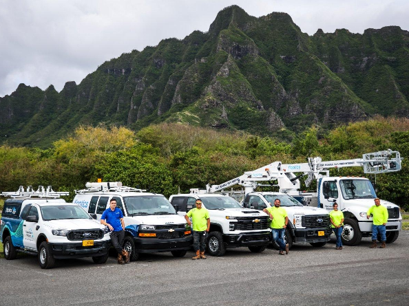Hawaiian Telcom Image