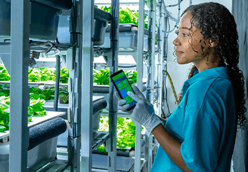 Growing Through a Pandemic With MetroGrow and Hawaiian Telcom